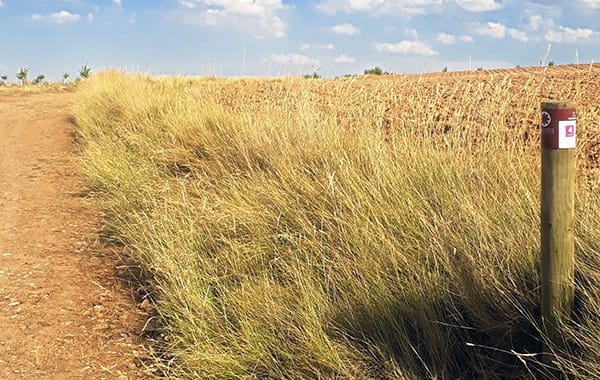 Señalización de la ruta © UTM Desarrollos