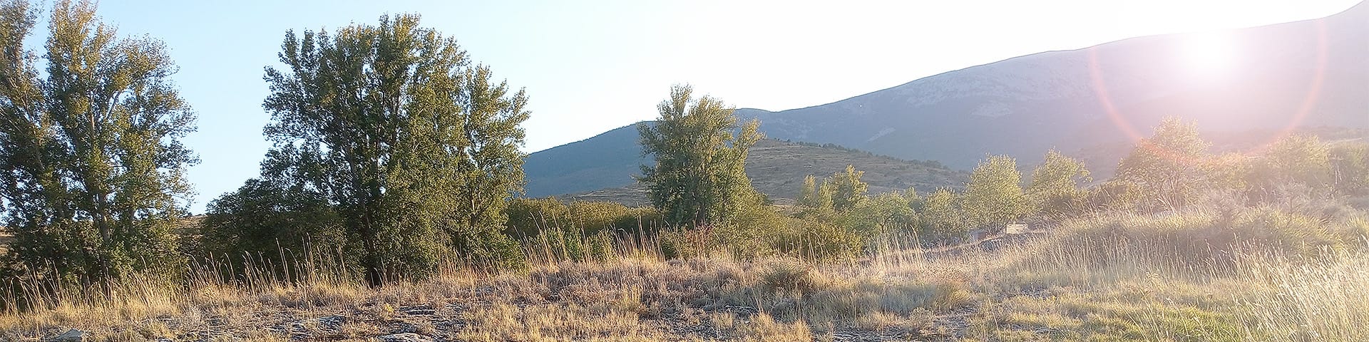 Caminos de Veruela. Camino 5: Litago